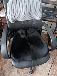 Zdjęcie od klienta Bob